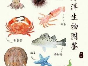 集合啦动物森友会捐赠鲎的栖息地揭秘：探寻神秘海洋生物鲎的位置介绍