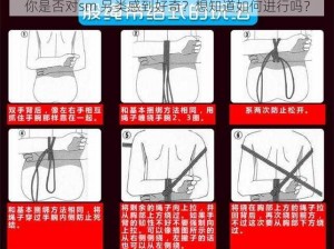 你是否对sm 另类感到好奇？想知道如何进行吗？