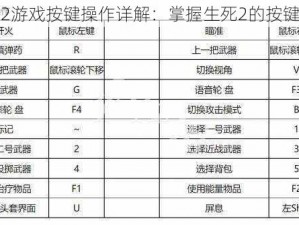 生死2游戏按键操作详解：掌握生死2的按键设置