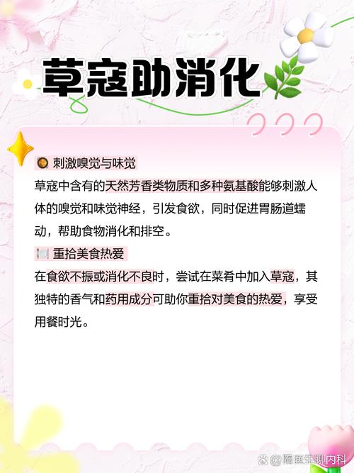 食物中的调料之魅力：揭示其功效与用途，探寻味觉层次丰富之秘