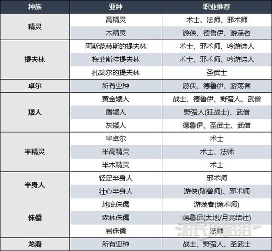 博德之门3游荡者副职业选择攻略：探寻最佳副职业推荐