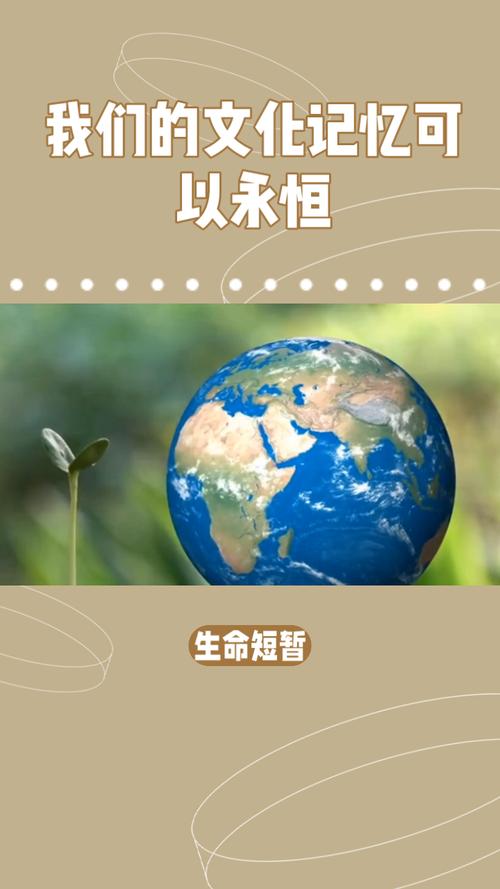 探索永恒宝藏,开启无限可能