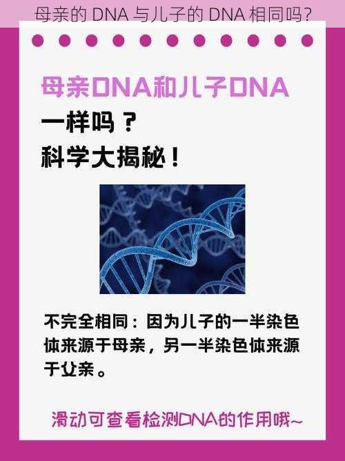 母亲的 DNA 与儿子的 DNA 相同吗？