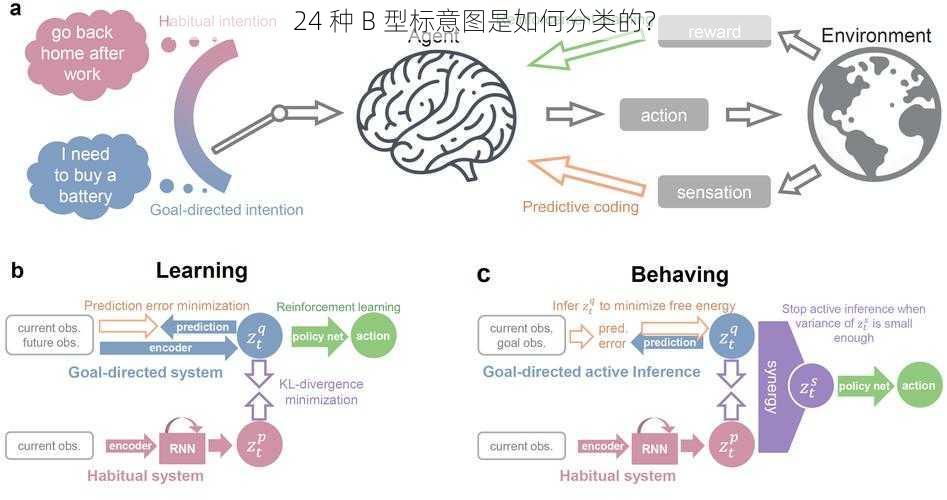 24 种 B 型标意图是如何分类的？