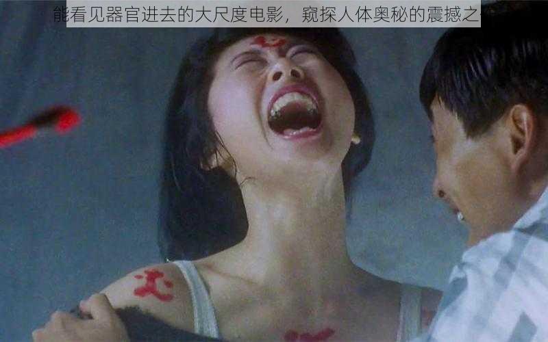 能看见器官进去的大尺度电影，窥探人体奥秘的震撼之作