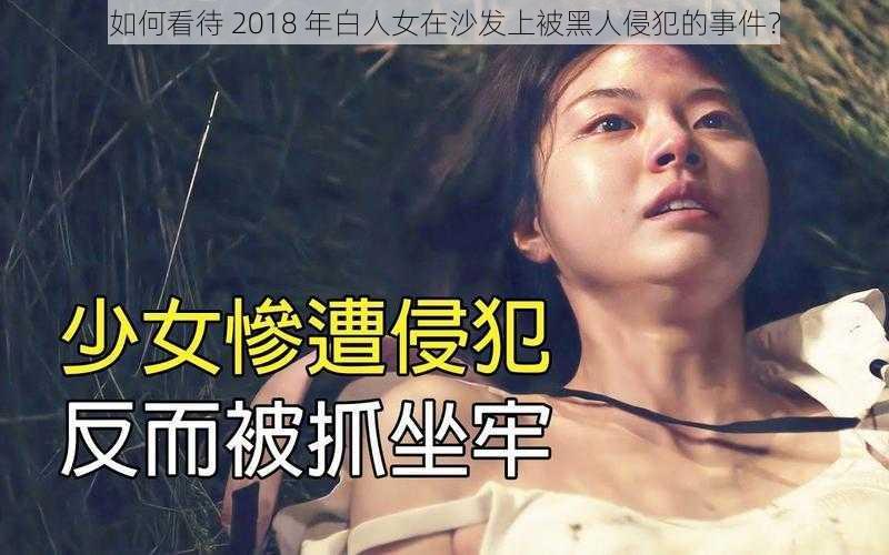 如何看待 2018 年白人女在沙发上被黑人侵犯的事件？