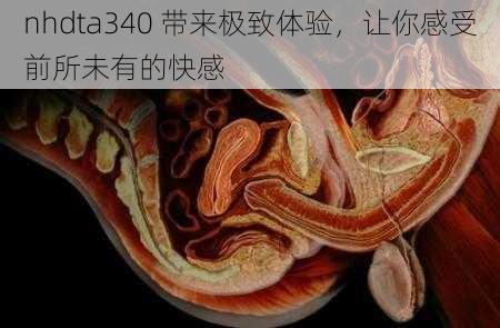 nhdta340 带来极致体验，让你感受前所未有的快感