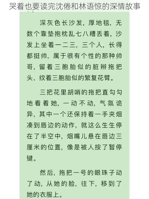 哭着也要读完沈倦和林语惊的深情故事