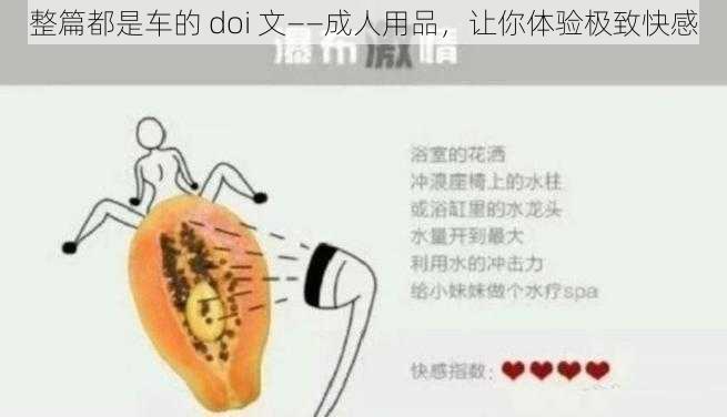 整篇都是车的 doi 文——成人用品，让你体验极致快感