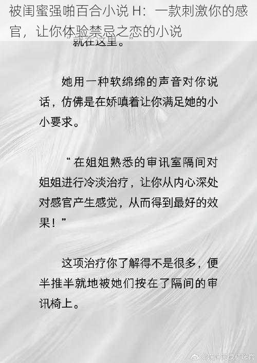 被闺蜜强啪百合小说 H：一款刺激你的感官，让你体验禁忌之恋的小说