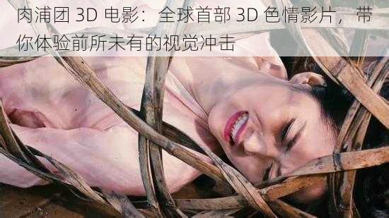 肉浦团 3D 电影：全球首部 3D 色情影片，带你体验前所未有的视觉冲击