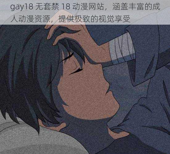 gay18 无套禁 18 动漫网站，涵盖丰富的成人动漫资源，提供极致的视觉享受