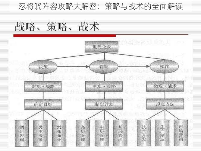 忍将晓阵容攻略大解密：策略与战术的全面解读