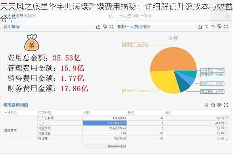 天天风之旅星华字典满级升级费用揭秘：详细解读升级成本与效益分析