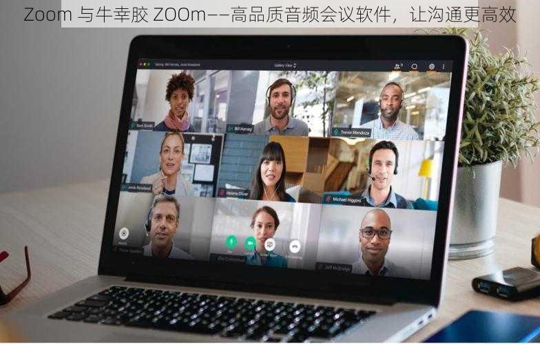 Zoom 与牛幸胶 ZOOm——高品质音频会议软件，让沟通更高效