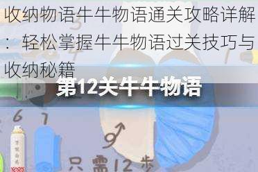 收纳物语牛牛物语通关攻略详解：轻松掌握牛牛物语过关技巧与收纳秘籍