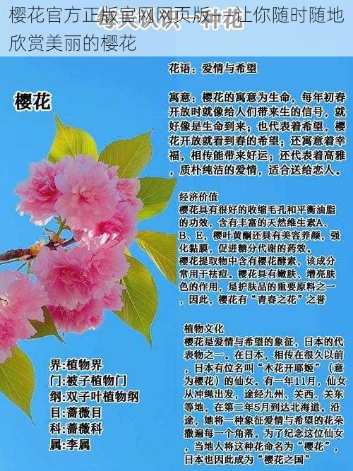 樱花官方正版官网网页版——让你随时随地欣赏美丽的樱花