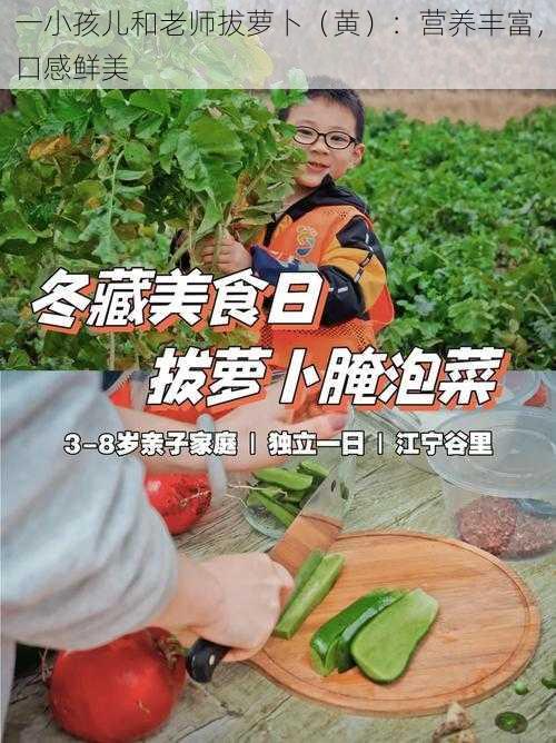 一小孩儿和老师拔萝卜（黄）：营养丰富，口感鲜美