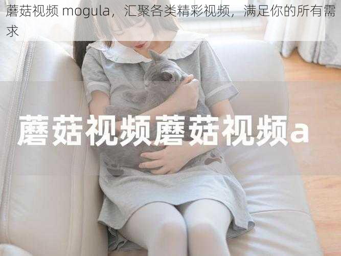 蘑菇视频 mogula，汇聚各类精彩视频，满足你的所有需求