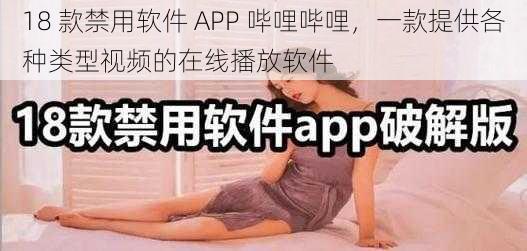 18 款禁用软件 APP 哔哩哔哩，一款提供各种类型视频的在线播放软件