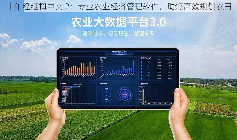 丰年经继拇中文 2：专业农业经济管理软件，助您高效规划农田