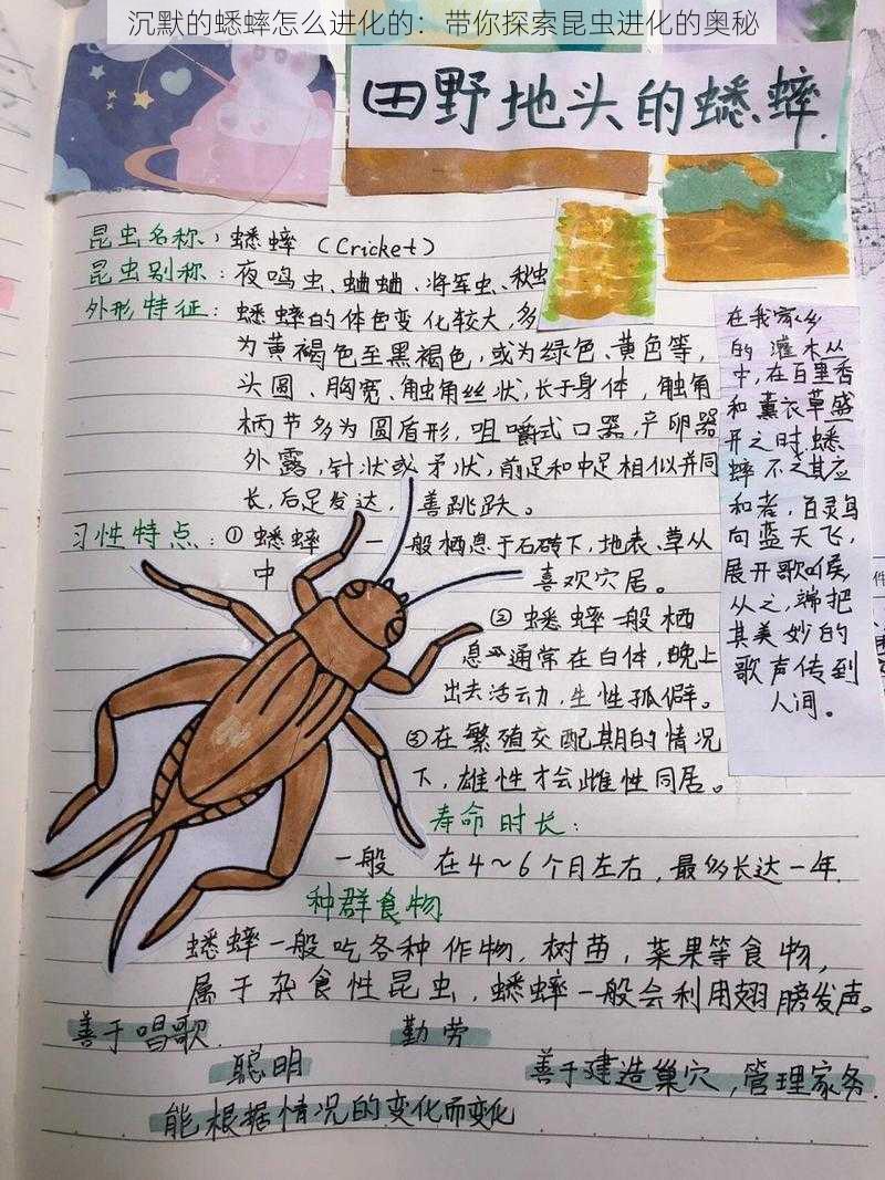 沉默的蟋蟀怎么进化的：带你探索昆虫进化的奥秘