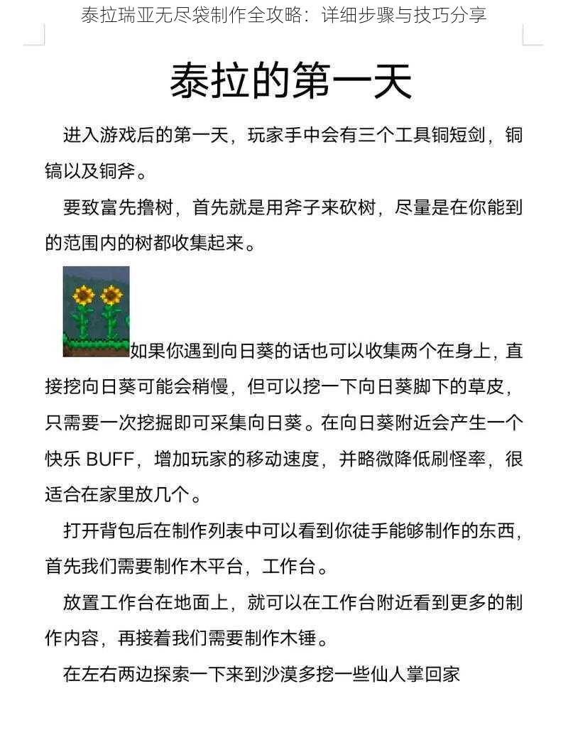 泰拉瑞亚无尽袋制作全攻略：详细步骤与技巧分享