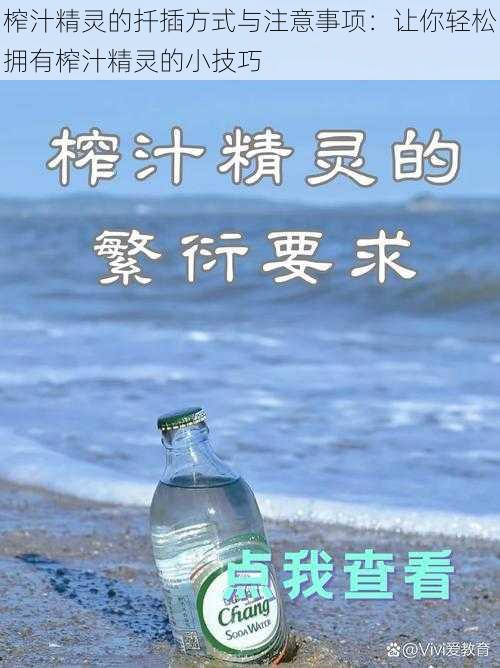 榨汁精灵的扦插方式与注意事项：让你轻松拥有榨汁精灵的小技巧