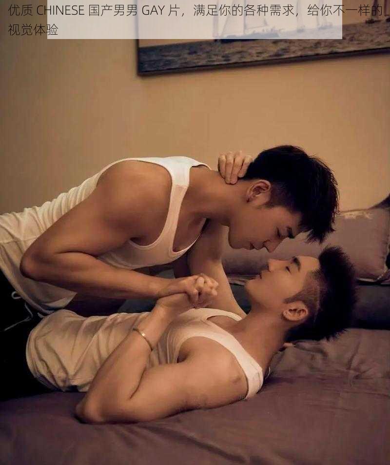 优质 CHINESE 国产男男 GAY 片，满足你的各种需求，给你不一样的视觉体验