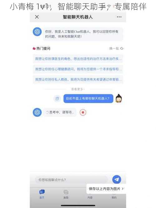 小青梅 1v1，智能聊天助手，专属陪伴