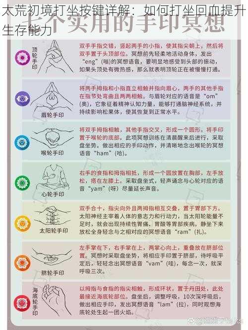 太荒初境打坐按键详解：如何打坐回血提升生存能力