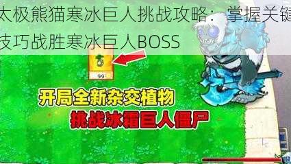 太极熊猫寒冰巨人挑战攻略：掌握关键技巧战胜寒冰巨人BOSS