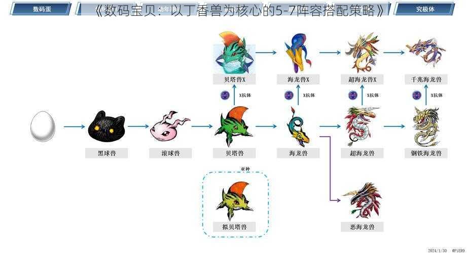 《数码宝贝：以丁香兽为核心的5-7阵容搭配策略》