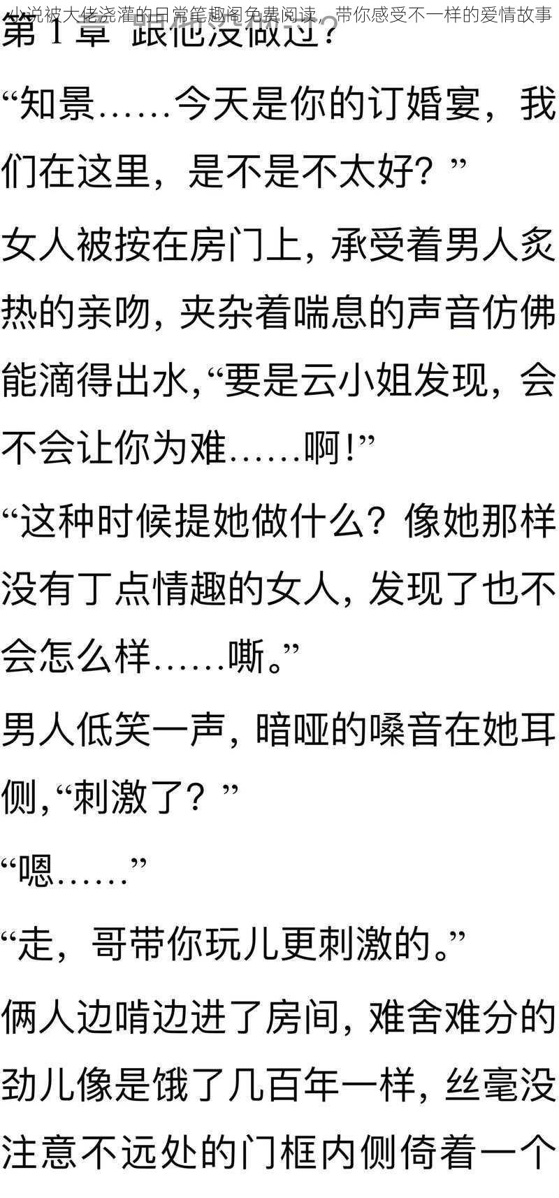 小说被大佬浇灌的日常笔趣阁免费阅读，带你感受不一样的爱情故事