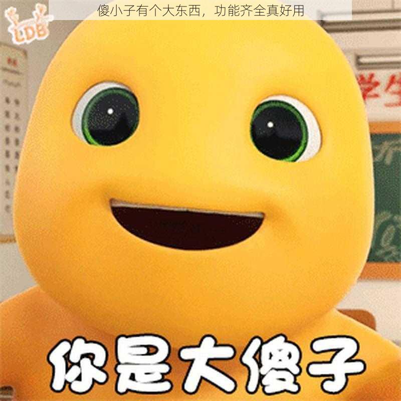 傻小子有个大东西，功能齐全真好用