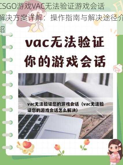 CSGO游戏VAC无法验证游戏会话解决方案详解：操作指南与解决途径介绍