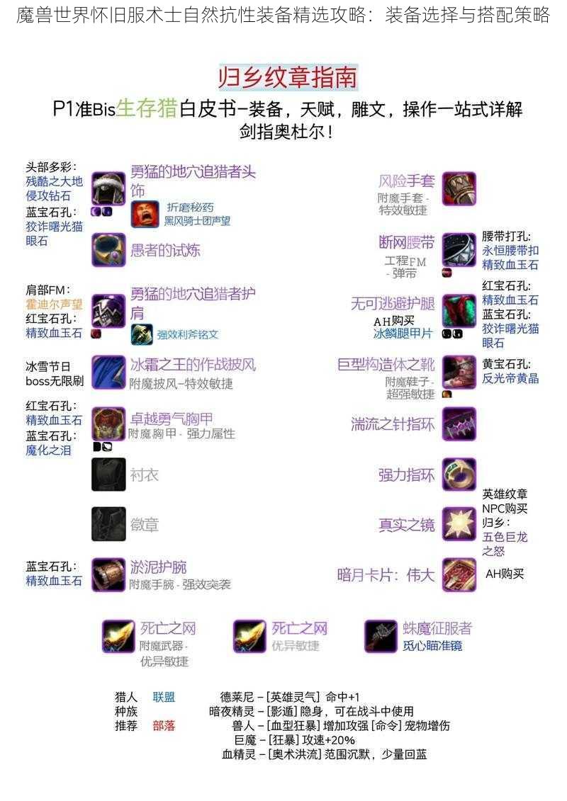 魔兽世界怀旧服术士自然抗性装备精选攻略：装备选择与搭配策略