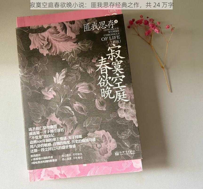 寂寞空庭春欲晚小说：匪我思存经典之作，共 24 万字