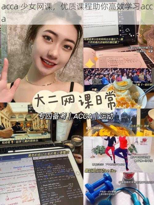 acca 少女网课，优质课程助你高效学习acca