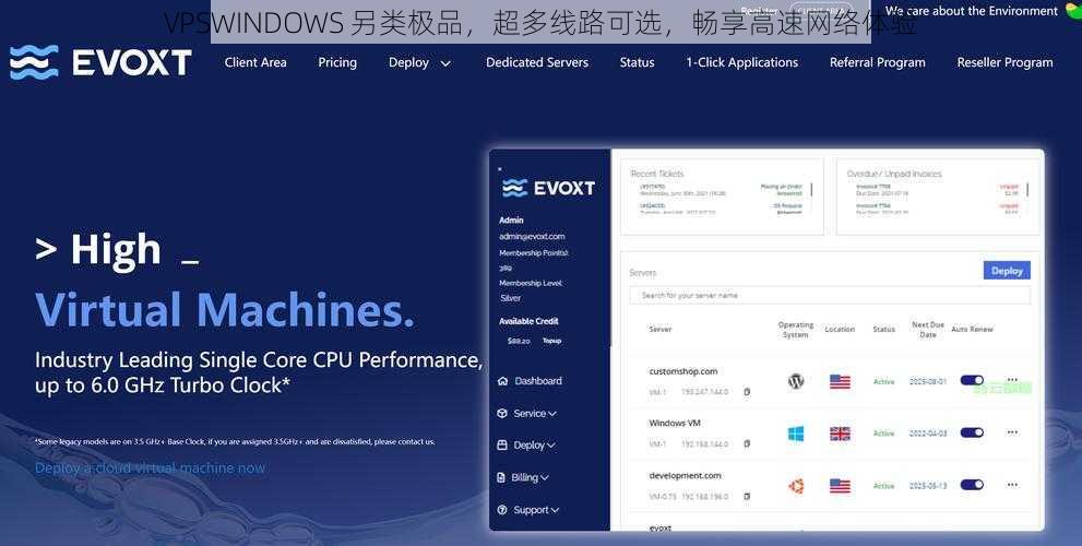 VPSWINDOWS 另类极品，超多线路可选，畅享高速网络体验