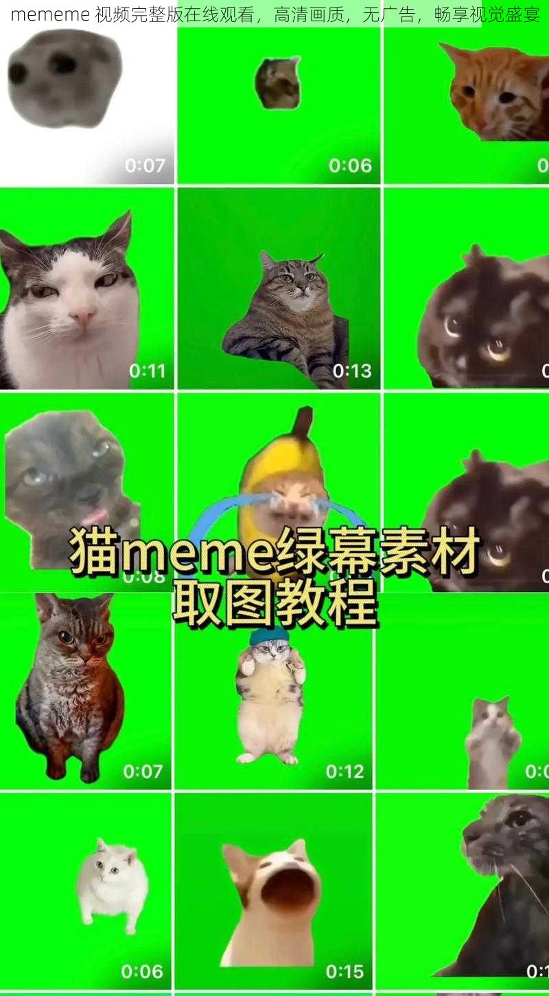 mememe 视频完整版在线观看，高清画质，无广告，畅享视觉盛宴