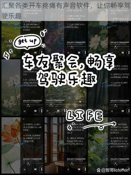 汇聚各类开车疼痛有声音软件，让你畅享驾驶乐趣