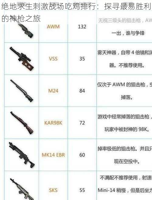 绝地求生刺激战场吃鸡排行：探寻最易胜利的神枪之旅