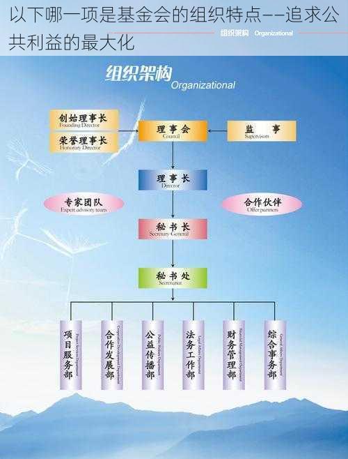 以下哪一项是基金会的组织特点——追求公共利益的最大化