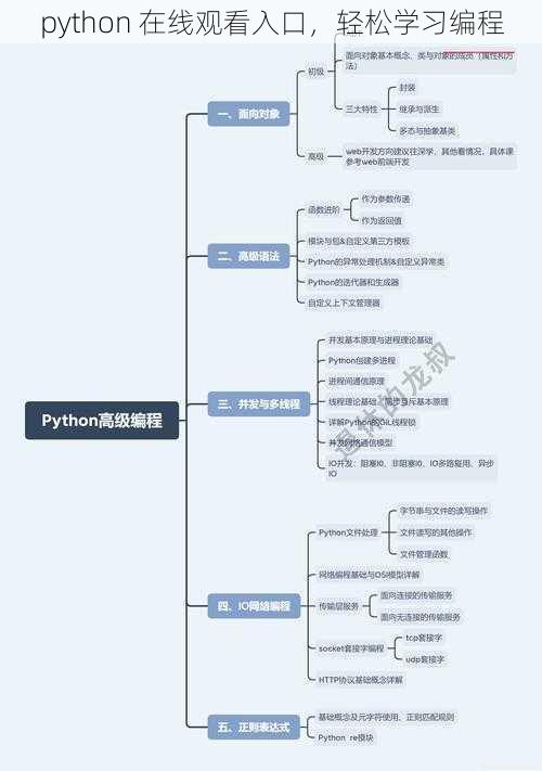 python 在线观看入口，轻松学习编程