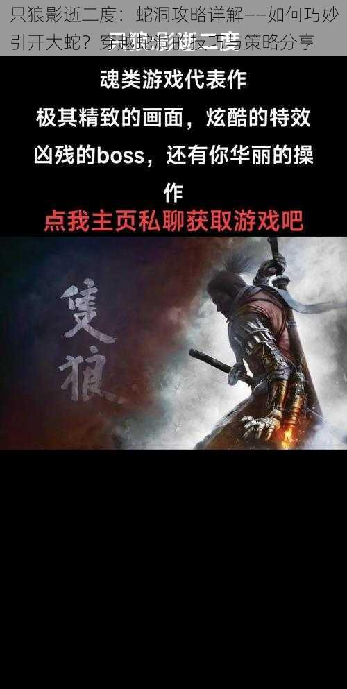 只狼影逝二度：蛇洞攻略详解——如何巧妙引开大蛇？穿越蛇洞的技巧与策略分享