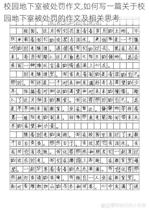 校园地下室被处罚作文,如何写一篇关于校园地下室被处罚的作文及相关思考