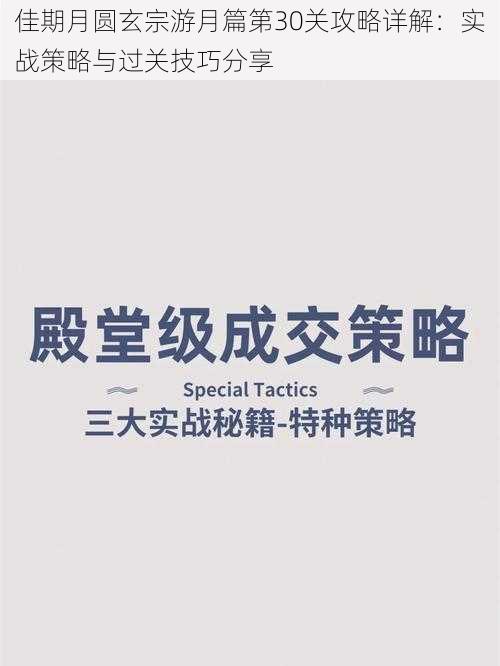 佳期月圆玄宗游月篇第30关攻略详解：实战策略与过关技巧分享