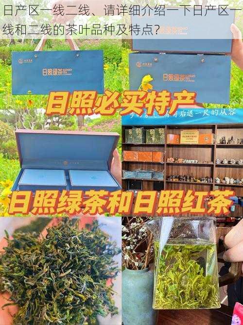 日产区一线二线、请详细介绍一下日产区一线和二线的茶叶品种及特点？