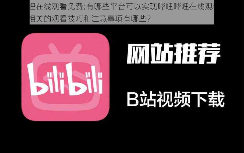 哔哩哔哩在线观看免费;有哪些平台可以实现哔哩哔哩在线观看免费？以及其相关的观看技巧和注意事项有哪些？